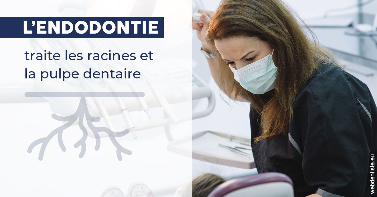 https://www.espace-dentaire-wambrechies.fr/L'endodontie 1