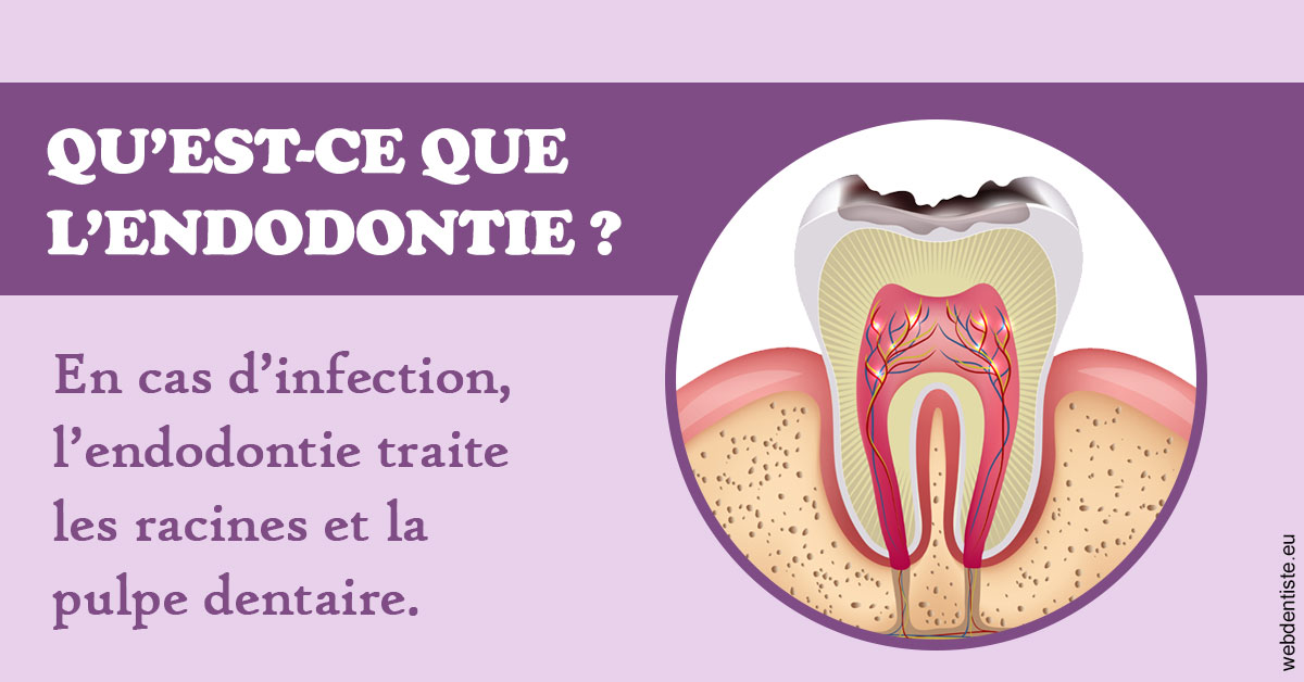 https://www.espace-dentaire-wambrechies.fr/2024 T1 - Endodontie 02