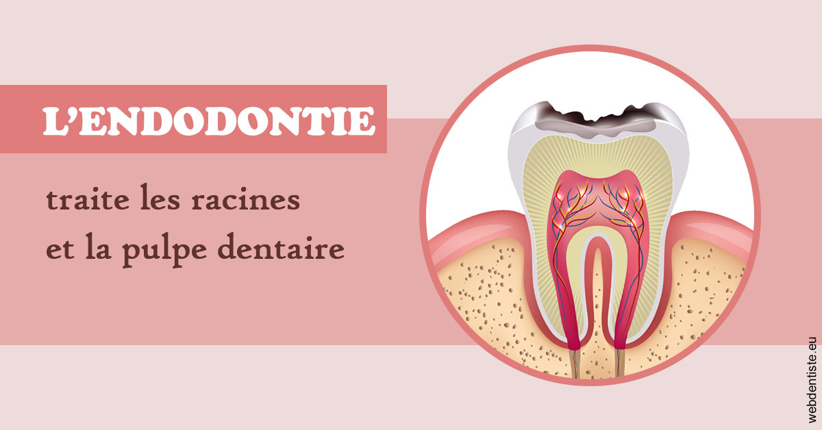 https://www.espace-dentaire-wambrechies.fr/L'endodontie 2