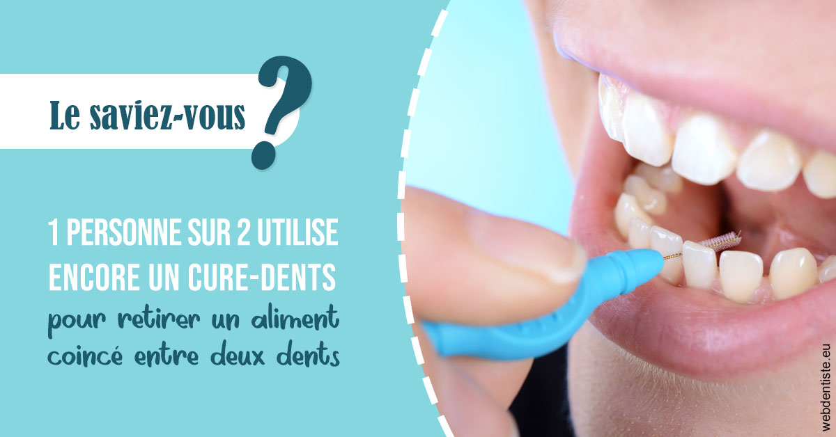 https://www.espace-dentaire-wambrechies.fr/Cure-dents 1