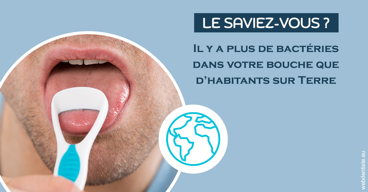 https://www.espace-dentaire-wambrechies.fr/Bactéries dans votre bouche 2